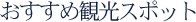 �������ߊό��X�|�b�g